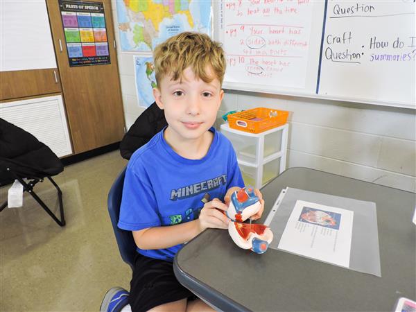 Students in 4th Grade learning about the heart. 